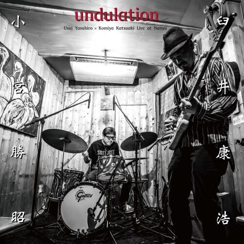 Yasuhiro Usui: undulation - Vinyl LP