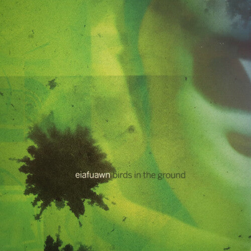 Eiafuawn: Birds in the Ground - COMPACT DISCS