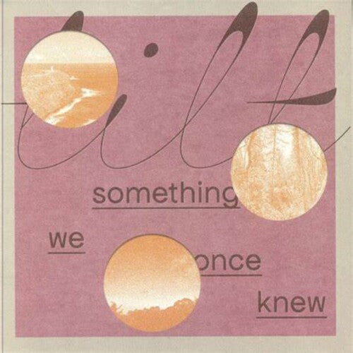 Tilt: Something We Once Knew - Vinyl LP