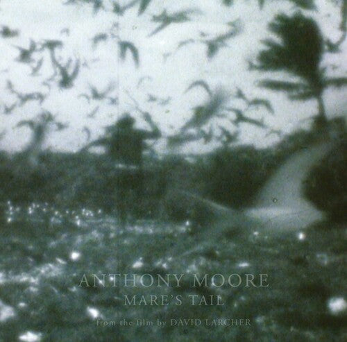 Anthony Moore: Mare's Tail - Vinyl LP