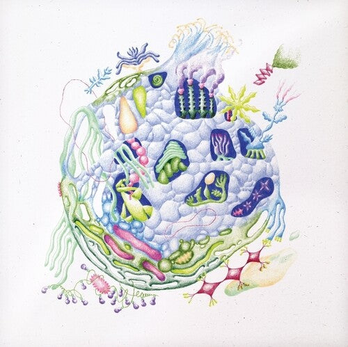 David Edren: Binnenin - Vinyl LP