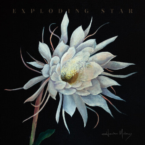 Heather Maloney: Exploding Star - Vinyl LP