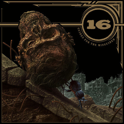 16: Guides For The Misguided - Vinyl LP