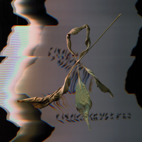 T. Gowdy: Trill Scan - COMPACT DISCS