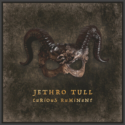 Jethro Tull: Curious Ruminant - COMPACT DISCS