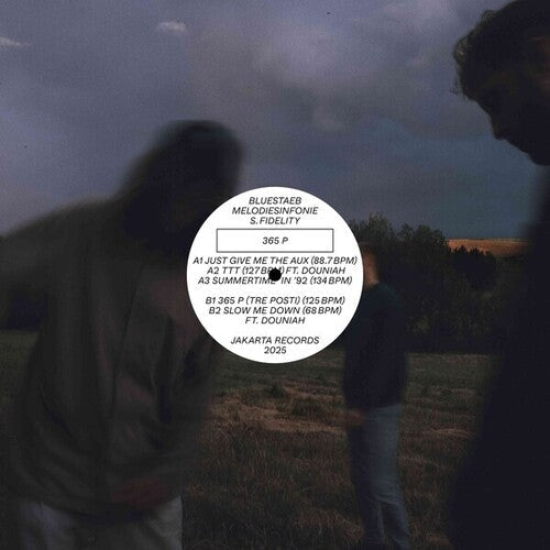 Bluestaeb: 365 P - Vinyl LP