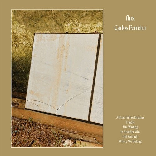 Carlos Ferreira: Flux - Vinyl LP