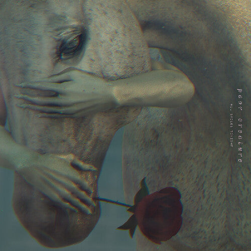 Poor Creature: All Smiles Tonight - Vinyl LP