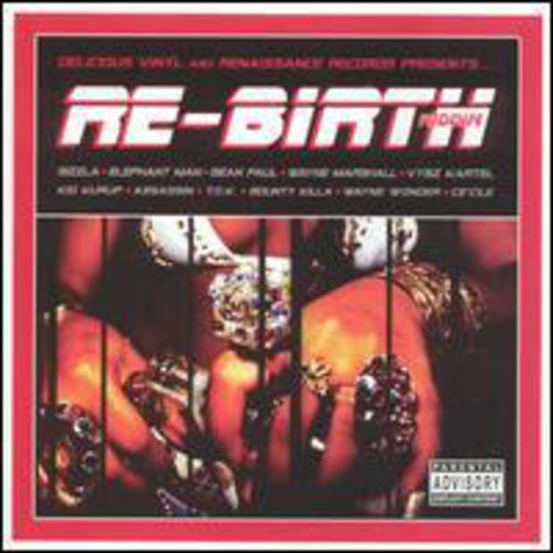 Various Artists: Re Birth Riddim - Vinyl LP