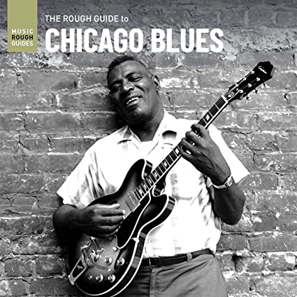 Various Artists: Rough Guide To Chicago Blues / Various - Vinyl LP