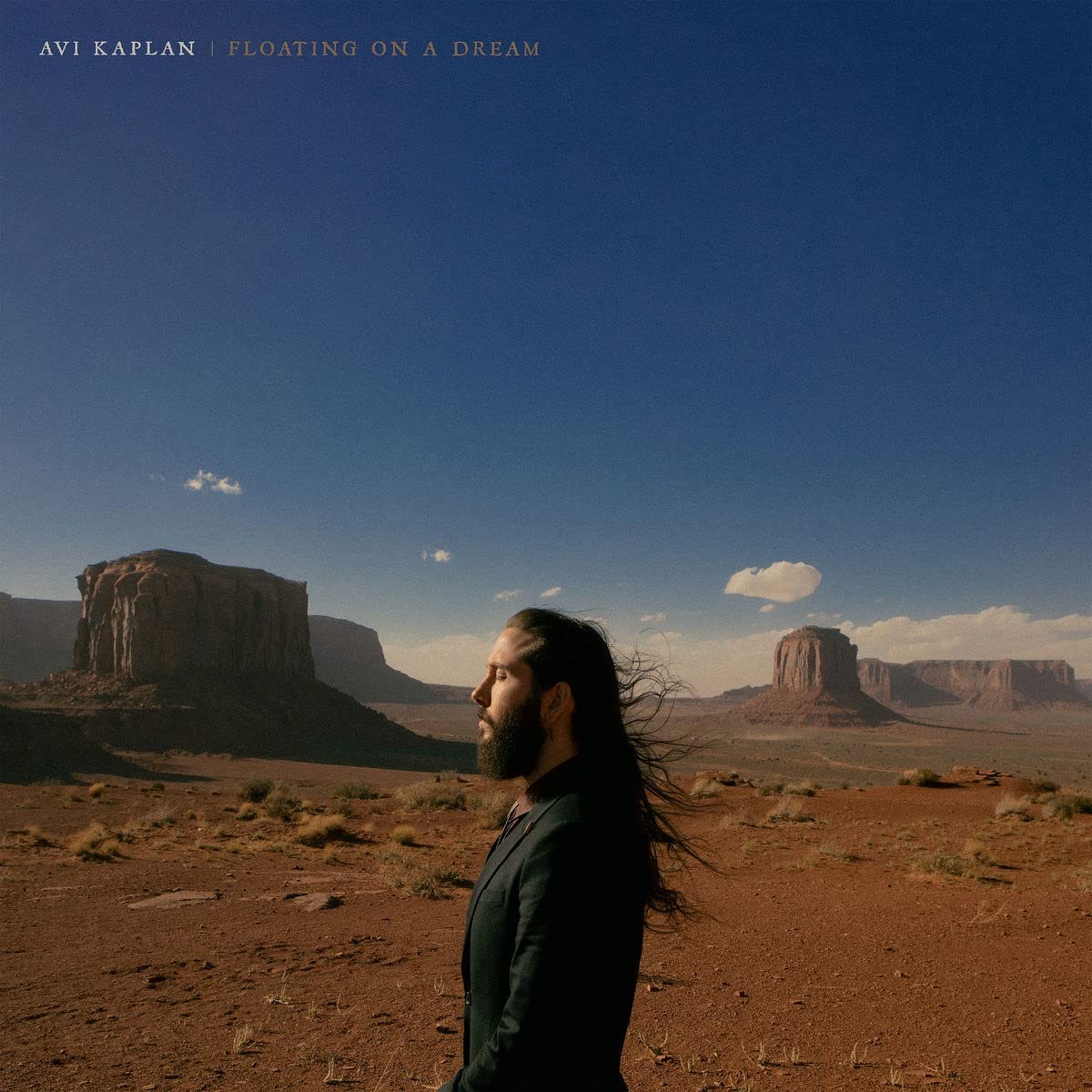 Avi Kaplan: Floating On A Dream - Vinyl LP
