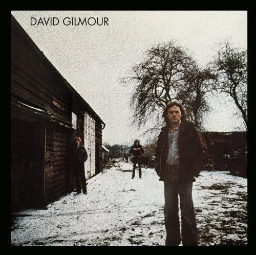 David Gilmour: David Gilmour - COMPACT DISCS